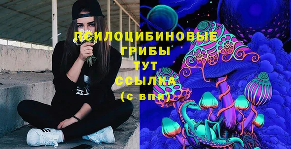 тгк Алексеевка