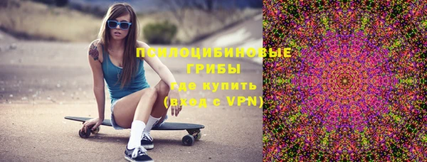 spice Алексин