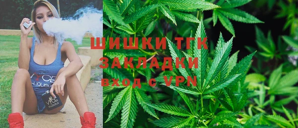 spice Алексин